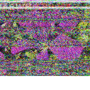 SSTV image received 2026-08-09 13:03