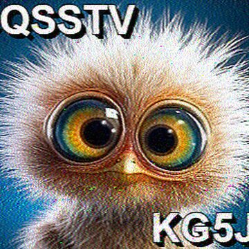 SSTV image received 2026-09-01 14:32