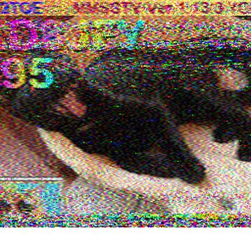 SSTV image received 2026-09-01 19:50