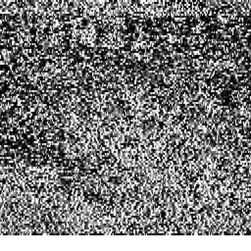 SSTV image received 2026-09-07 10:29