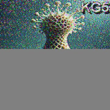 SSTV image received 2026-08-05 02:12
