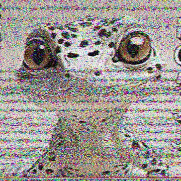 SSTV image received 2026-08-05 02:34