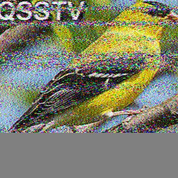 SSTV image received 2026-08-05 21:10