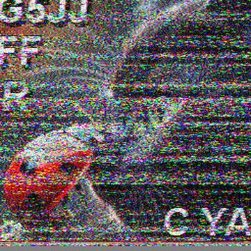 SSTV image received 2026-08-06 02:41