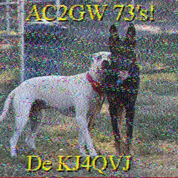 SSTV image received 2026-08-09 14:55