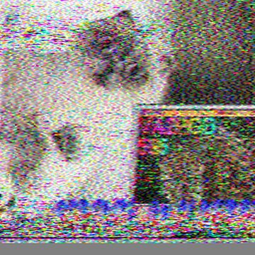 SSTV image received 2026-08-24 00:31