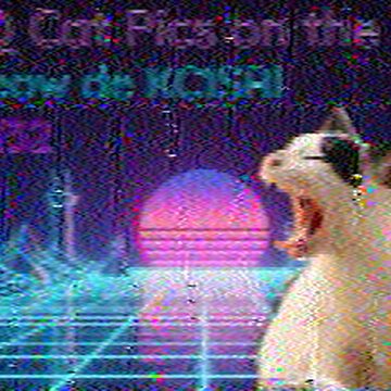 SSTV image received 2026-08-08 00:58